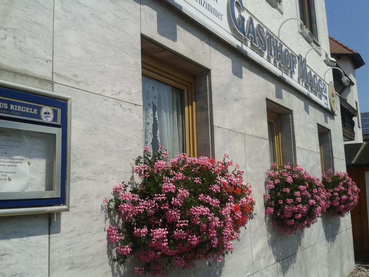 Hotel Gasthof Magg Biberbach  Exterior foto